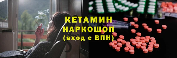 индика Бабаево