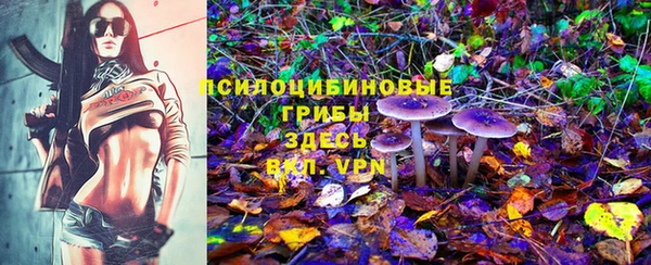 дурь Абдулино