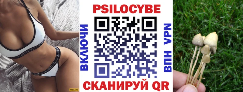 Псилоцибиновые грибы Psilocybe  дарнет шоп  Топки 